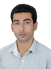 رضا هادی